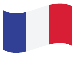 Generación de informe de idioma Francés
