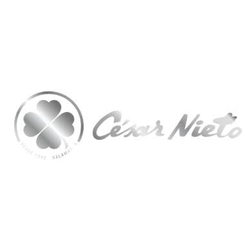 Logo de Cesar Nieto Group SL