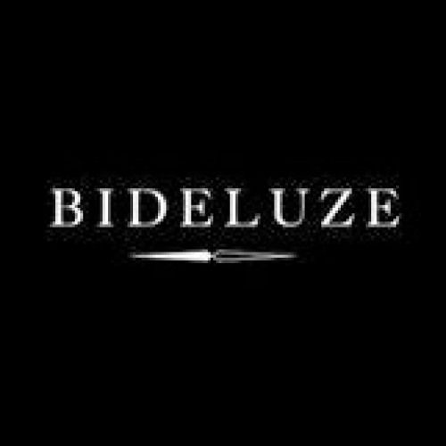 Logo de BIDELUZE