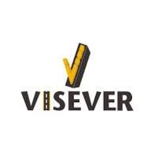 Logo de VISEVER S.L