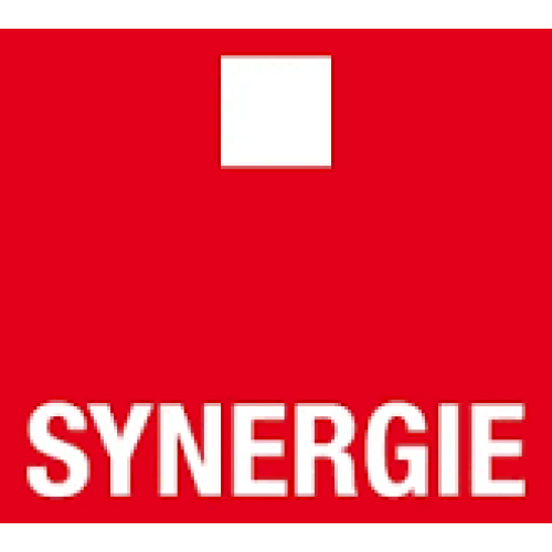Logo de Synergie ETT
